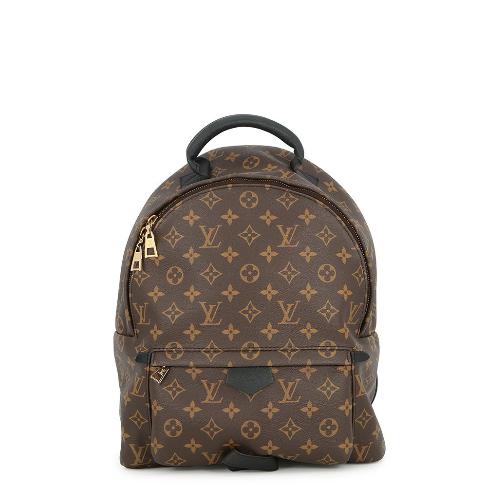 Louis Vuitton Monogram Palm Springs Backpack Black Bag
